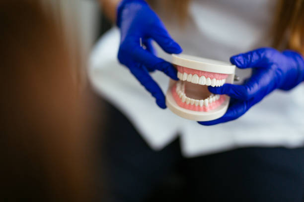 Best Periodontal (Gum) Disease Treatment  in Loves Park, IL