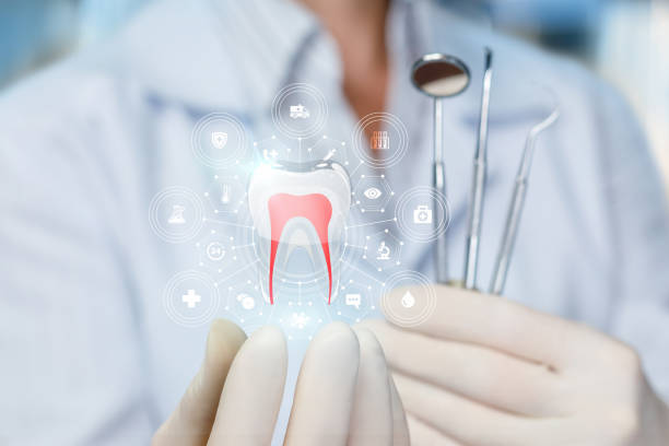 Best Dental Exams and Cleanings  in Loves Park, IL